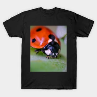 A Happy Little Ladybug, Macro Photograph T-Shirt